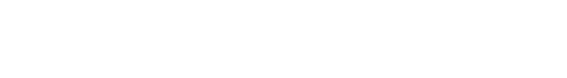 BDLI-Text-White1