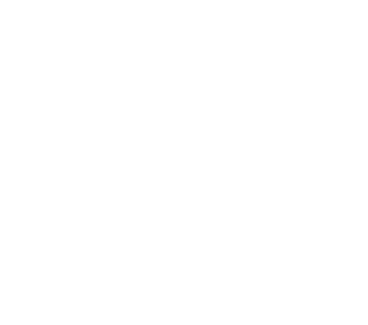 Hamburg-Aviation_Logo