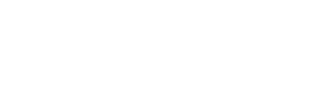 Logo_Diehl
