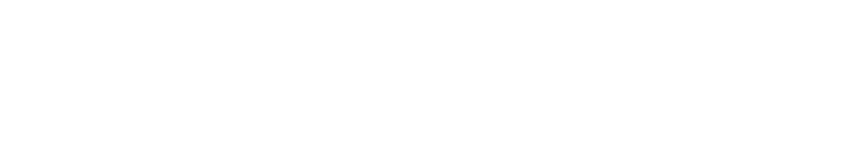Logo_dihse