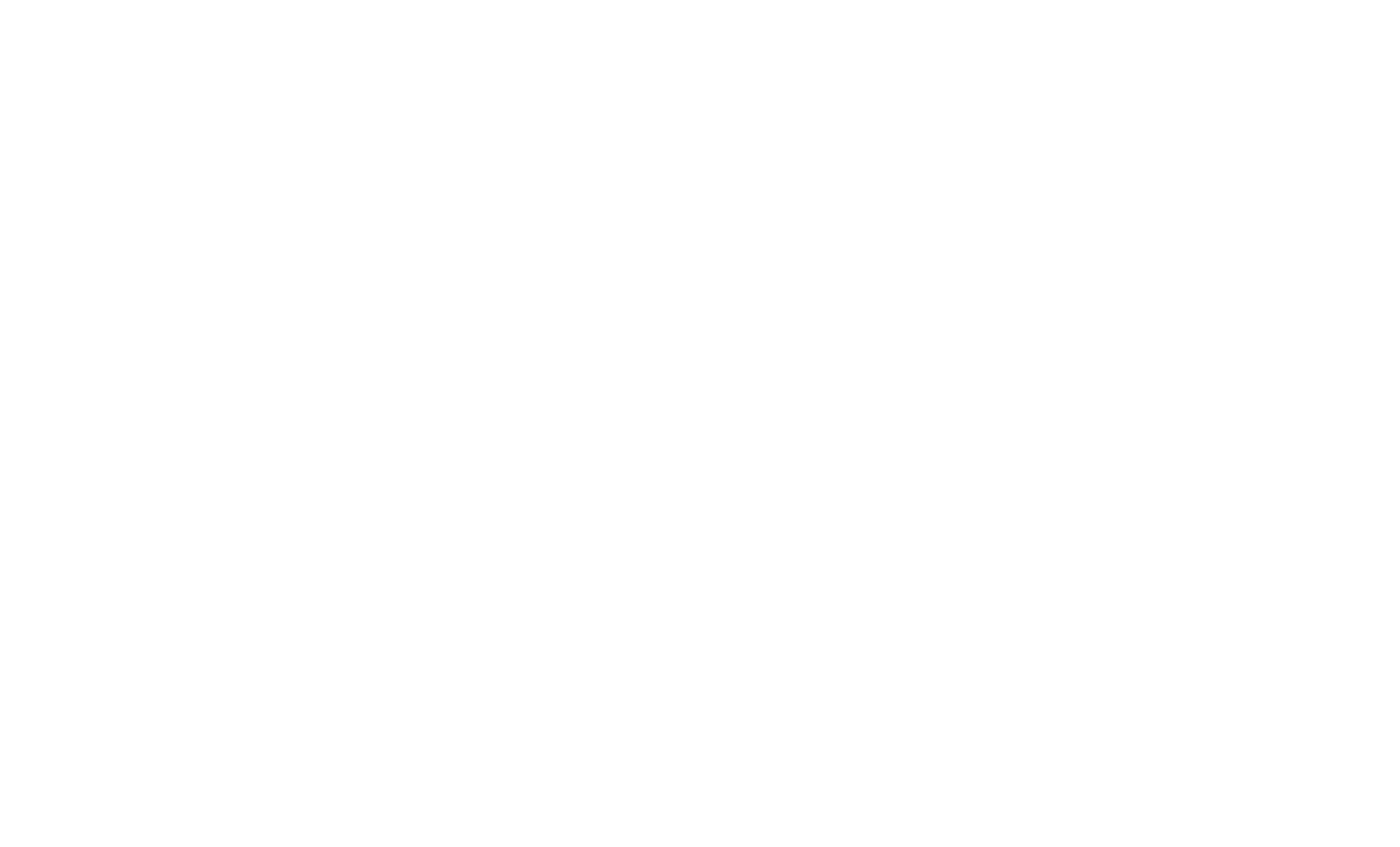 SACS-Unternehmen_Flugzeug